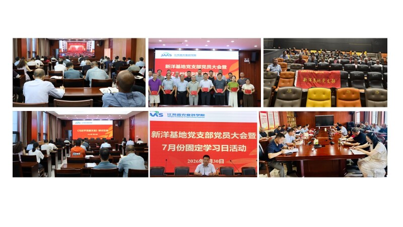 新建 PPTX 演示文稿.jpg