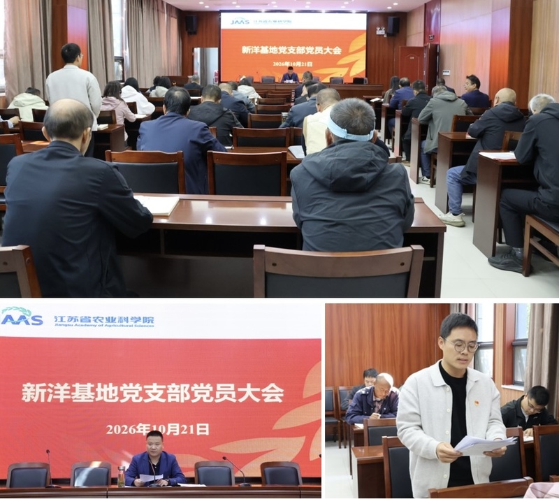 微信图片_20261021164817_57_84.jpg