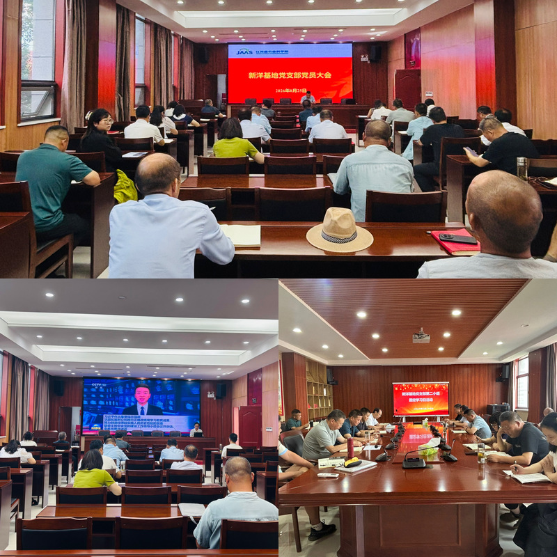 8月份党员大会新闻稿照片.jpg